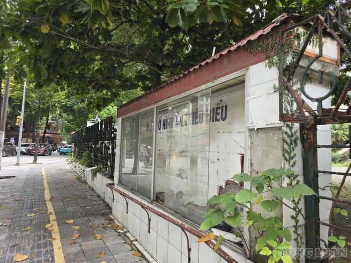 Cơ sở vật chất trong khuôn viên Cung Thanh niên hiện đang trong tình trạng xuống cấp. Ảnh: Hà Đương