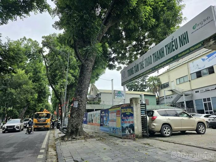 Việc thu hồi được thực hiện theo quy định tại Khoản 1 và Khoản 5 Điều 81 Luật Đất đai năm 2024 và quy định tại Điều 41 Luật quản lý, sử dụng tài sản công năm 2017. Ảnh: Hà Đương