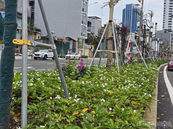 Sau hơn 8 tháng tăng tốc thi công, diện mạo toàn tuyến đường đã có sự thay đổi rõ rệt khi phần lớn mặt đường được hình thành, thảm nhựa và sơn kẻ phân làn. Hệ thống cây xanh cùng hạ tầng chiếu sáng cũng đang từng bước được hoàn thiện đồng bộ. Ảnh: Hà Đương