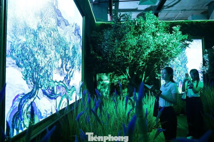 Ngoài phần hình ảnh, triển lãm còn sử dụng âm thanh và hương thơm trong một số không gian nhằm mở rộng trải nghiệm sang nhiều giác quan. Các yếu tố này được thiết kế đồng bộ với chuyển động của hình ảnh thay vì hoạt động như những phần trình diễn tách biệt.