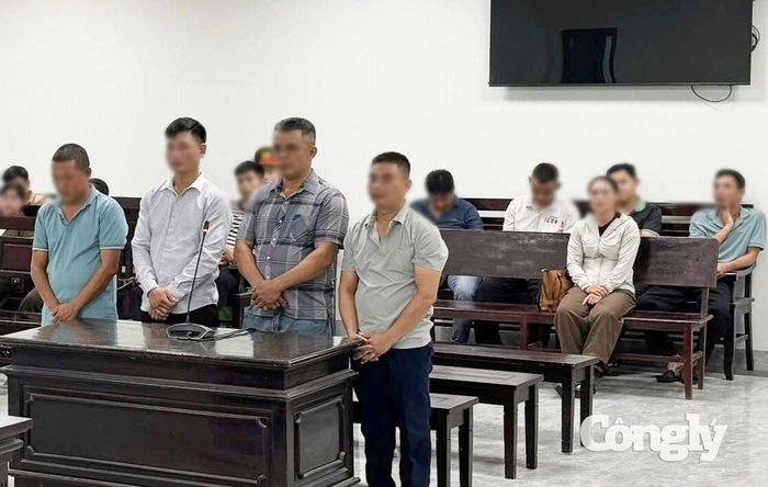 Các bị cáo tại phiên tòa xét xử.