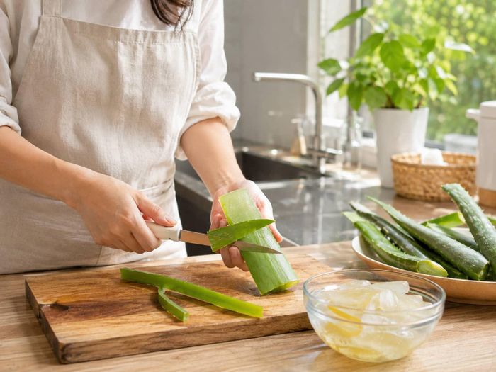 Lá nha đam tươi cần loại bỏ lớp vỏ xanh và mủ vàng. Ảnh minh họa: AI