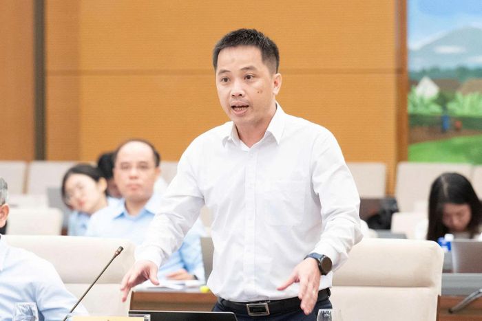 Phó Tổng Thư ký kiêm Trưởng ban Pháp chế của Liên đoàn Thương mại và Công nghiệp Việt Nam (VCCI) Đậu Anh Tuấn. Ảnh: Quốc hội