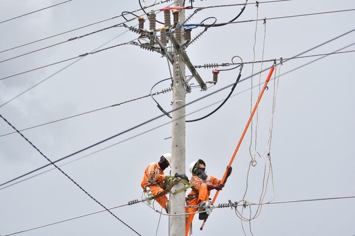 Công ty Điện lực Tây Ninh kiểm tra lưới điện tại khu vực Đồng Tháp Mười. Ảnh: Hoàng Danh