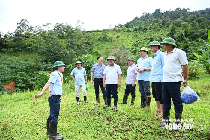 Đoàn công tác UBND tỉnh kiểm tra hiện trường điểm sạt lở bản Tân Thái, xã Tri Lễ. Ảnh: Thành Cường