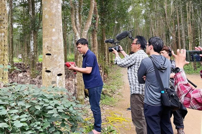 Tỉnh Hà Tĩnh tạo điều kiện, hỗ trợ đoàn công tác Đài Truyền hình NHK Nhật Bản thực hiện phóng sự về cây dó trầm. (Ảnh: tháng 3/2025). 