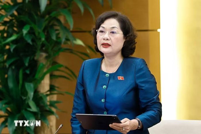 Phó Chủ tịch Quốc hội Nguyễn Thị Hồng phát biểu. (Ảnh: Doãn Tấn/TTXVN)