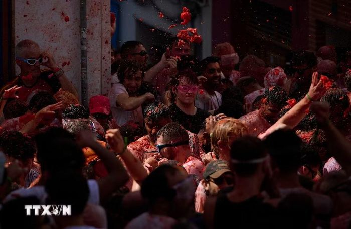 Ngày 26/8/2026, lễ hội ném cà chua La Tomatina đã diễn ra tại thị trấn Bunol, gần thành phố Valencia, Tây Ban Nha. Hơn 22.000 người đã tham gia và cùng hòa mình vào cuộc chiến cà chua sôi động trên đường phố, với khoảng 150 tấn cà chua được sử dụng trong lễ hội năm nay. (Ảnh: THX/TTXVN phát)