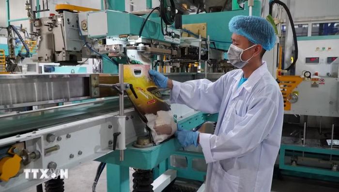 Đóng gói sản phẩm tại một doanh nghiệp ở xã Trường Xuân, tỉnh Đồng Tháp. (Ảnh: Nhựt An/TTXVN)