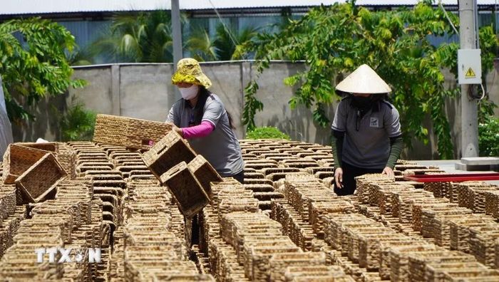 Tận dụng nguồn nguyên liệu sẵn tại địa phương, Công ty TNHH Xuất nhập khẩu Bình An Thịnh sản xuất hàng thủ công mỹ nghệ để xuất khẩu. (Ảnh: Nhựt An/TTXVN)