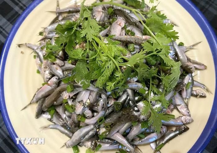 Du khách đến miền Tây dịp này có thể thưởng thức các món ngon từ cá linh non, mang đậm hương vị và nét văn hóa ẩm thực vùng sông nước. (Ảnh: Công Mạo/TTXVN)