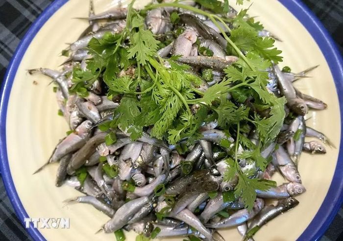 Du khách đến miền Tây dịp này có thể thưởng thức các món ngon từ cá linh non, mang đậm hương vị và nét văn hóa ẩm thực vùng sông nước. (Ảnh: Công Mạo/TTXVN)