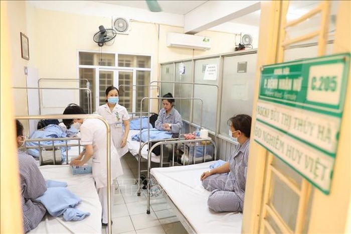 Bệnh nhân điều trị sốt xuất huyết tại Bệnh viện Hữu nghị Việt Nam - Cuba. Ảnh tư liệu: Minh Quyết/TTXVN