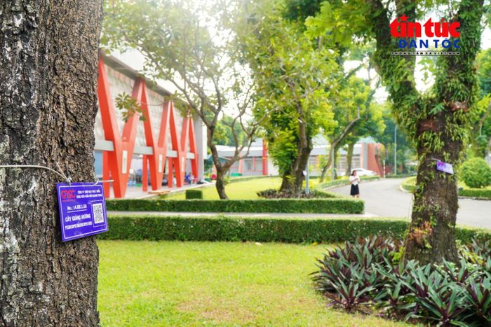 Cây xanh tại QTSC được gắn mã QR để nhận diện và kết nối dữ liệu trên hệ thống GIS.