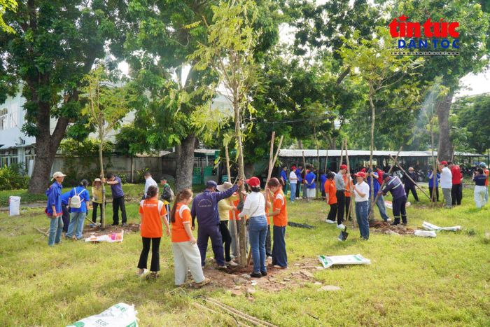 Năm 2026, QTSC trồng mới 234 cây xanh và cây kiểng tạo hình.