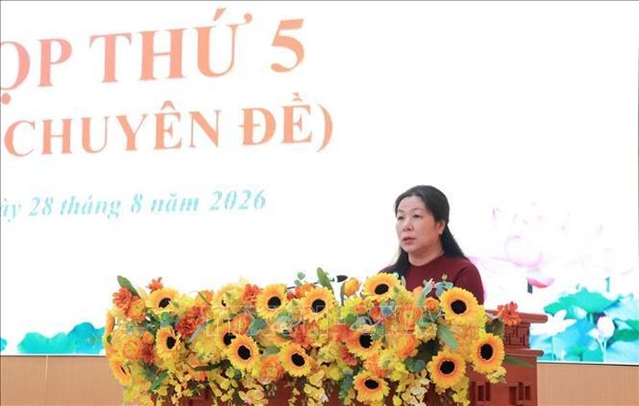 Bà Lê Hồng Thắm, Phó Chủ tịch Thường trực HĐND tỉnh An Giang, phát biểu tại kỳ họp.