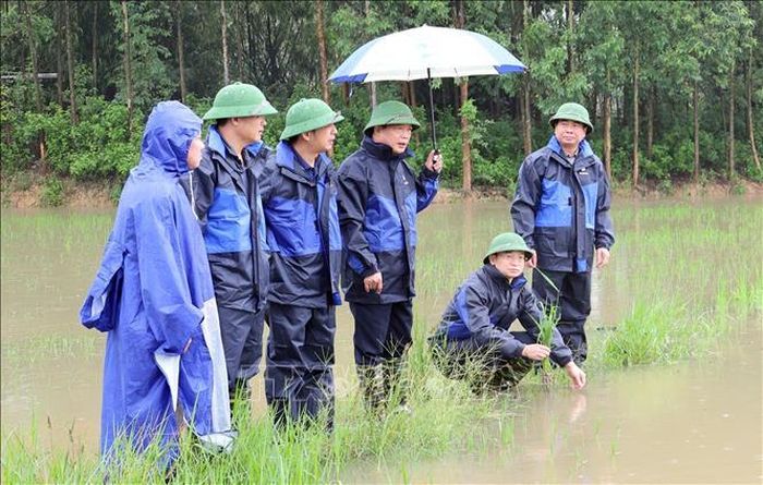 Lãnh đạo phường Phương Liễu, tỉnh Bắc Ninh kiểm tra công tác tiêu úng. Ảnh: Thanh Thương/TTXVN
