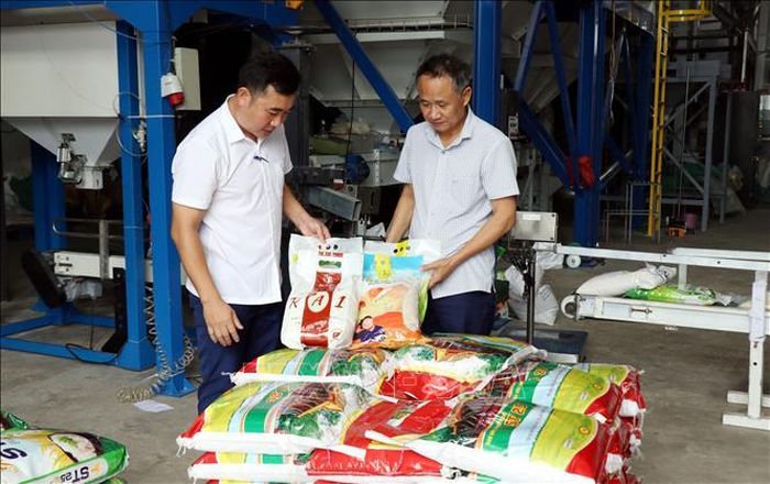 Các sản phẩm gạo chất lượng cao, đạt chứng nhận OCOP của Công ty TNHH Cường Tân, xã Ninh Cường (Ninh Bình). Ảnh: Nguyễn Lành/TTXVN