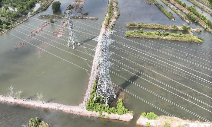 Đường dây 220kV Năm Căn - Cà Mau 2 vừa được đóng điện thành công. Ảnh: Thắng Trung/BNEWS/TTXVN