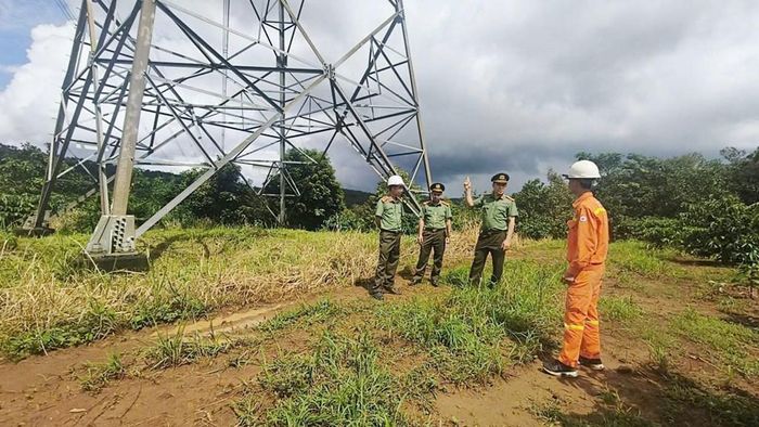 TTĐ Lâm Đồng phối hợp Phòng PA04 kiểm tra đường dây 500kV Pleiku2 - Chơn Thành và Xuân Thiện - Chơn Thành. Ảnh: PTC3