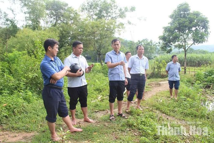 Lãnh đạo xã Quý Lương kiểm tra, giải quyết công việc tại hiện trường.