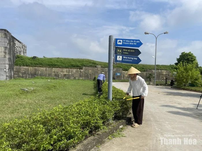 Tại Di sản văn hóa thế giới Thành nhà Hồ, công tác vệ sinh môi trường, cắt tỉa cây xanh, chỉnh trang cảnh quan đã cơ bản hoàn tất, đảm bảo không gian xanh - sạch - đẹp.