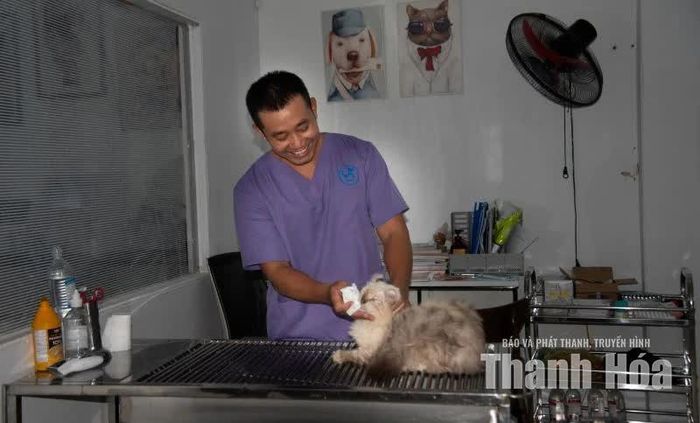 Anh Đỗ Xuân Thế Mạnh chăm sóc và vệ sinh cho mèo tại phòng khám.