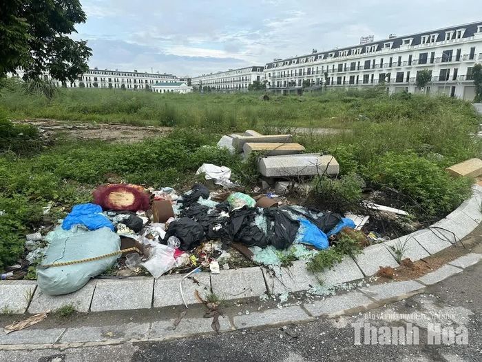 Rác sinh hoạt, túi nilon, đồ dùng bỏ đi, thậm chí cả phế thải xây dựng bị vứt ngổn ngang. (Trong ảnh: Rác thải đổ trên vỉa hè đường Âu Cơ, phường Hạc Thành).