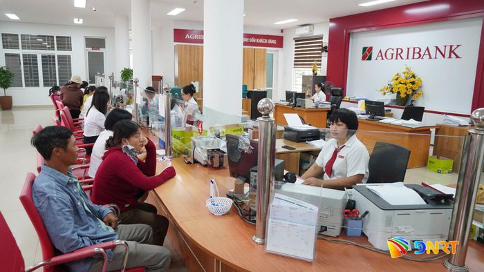 Agribank Chi nhánh Bắc Trà My đẩy mạnh cho vay vốn phát triển nông, lâm nghiệp bền vững. Ảnh: D.LỆ