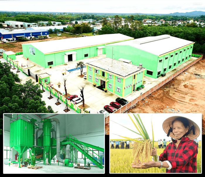 Tập đoàn ThaiBinh Seed sẽ mở rộng đầu tư tại quy mô nhà máy và tiếp tục liên kết sản xuất tại Đà Nẵng. Ảnh: VĂN SỰ