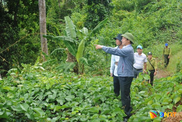 Lãnh đạo xã Phước Năng đi kiểm tra các dự án được quy hoạch trên địa bàn xã. Ảnh: DÂN NGÔ