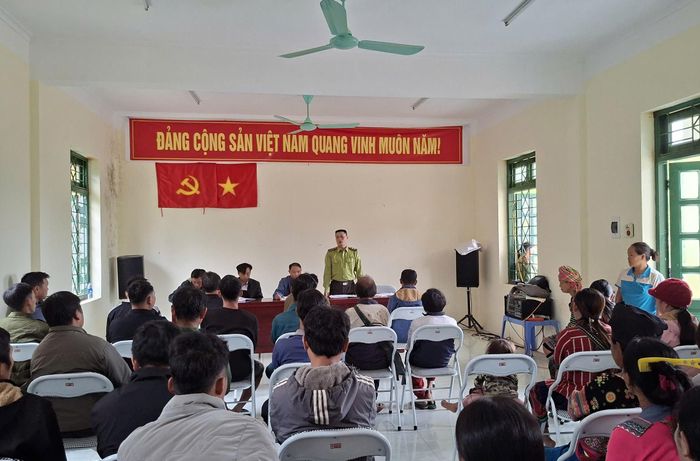 Ra mắt mô hình “Nông dân tham gia bảo vệ rừng” tại thôn Phiêng Cải, xã Sáng Nhè.