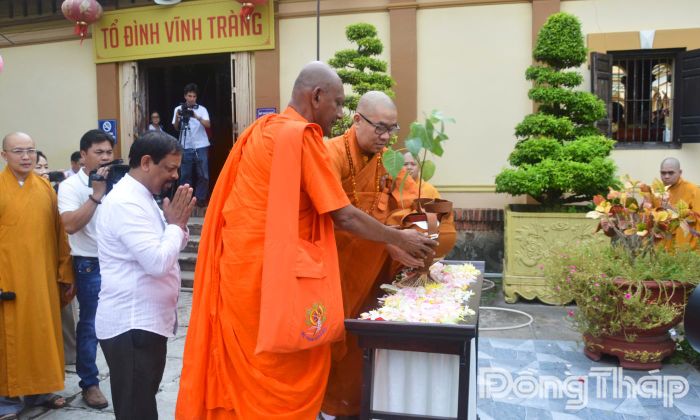 Thực hiện nghi thức cung nghinh cây Bồ đề trước khi được trồng tại khu vực Công viên Chùa Vĩnh Tràng.