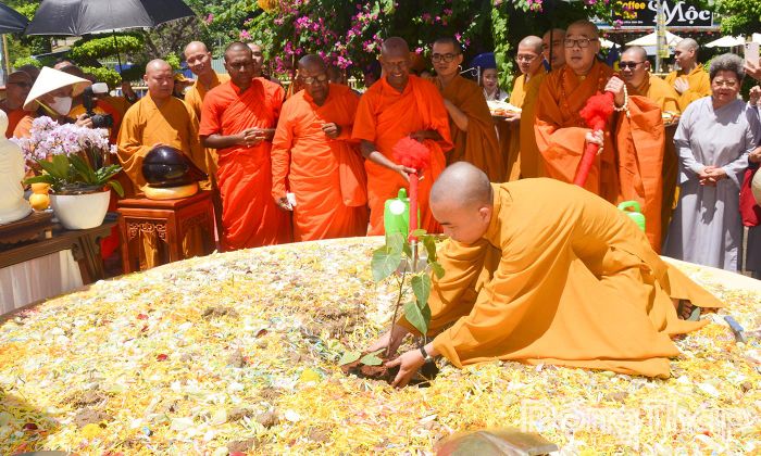 Nghi thức trồng cây Bồ đề có nguồn gốc từ Sri Lanka tại khu vực Công viên Chùa Vĩnh Tràng.