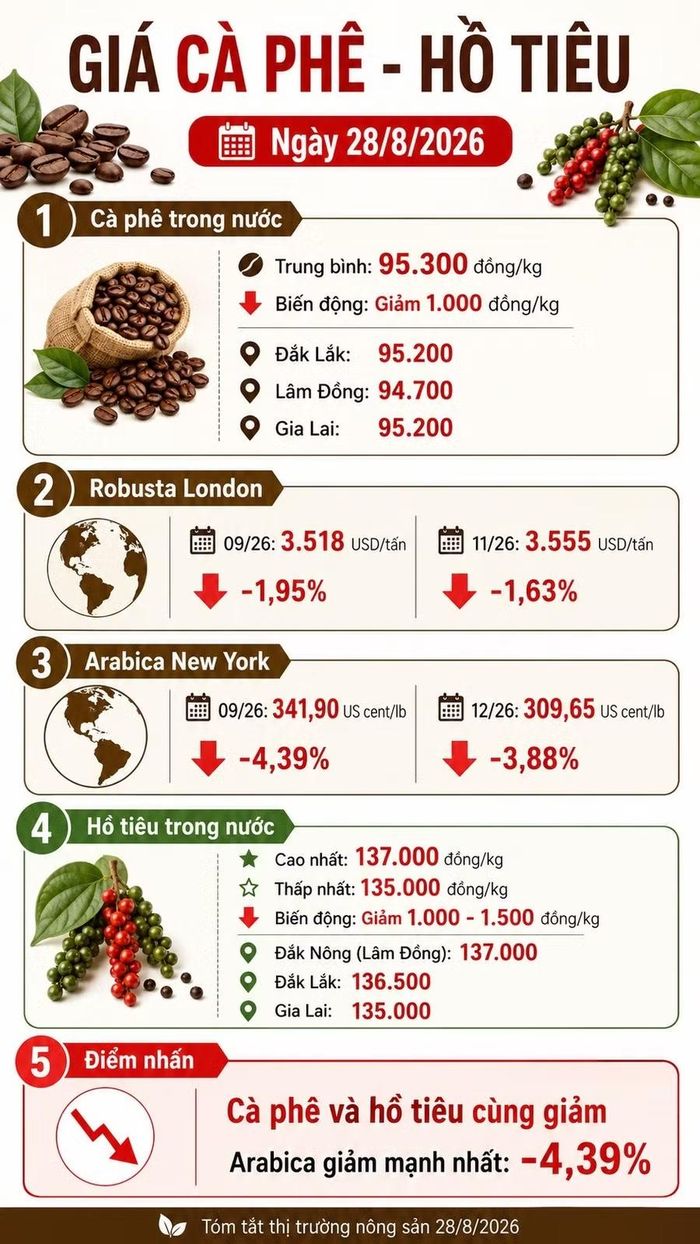 Infographic AI.