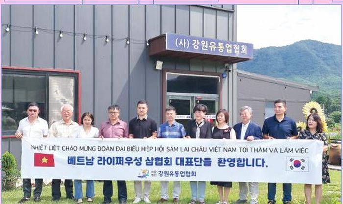 Đoàn công tác Hiệp hội Sâm Lai Châu tìm hiểu công nghệ chế biến sâm tại Hàn Quốc.