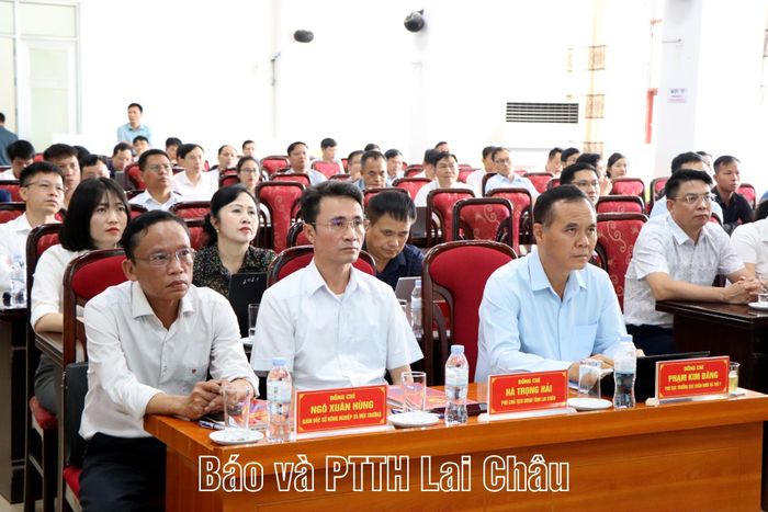 Các đại biểu dự hội nghị.