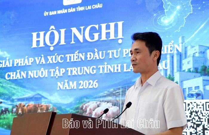 Đồng chí Phó Chủ tịch UBND tỉnh Hà Trọng Hải phát biểu tại hội nghị.