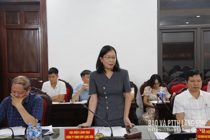 Đại diện nhà đầu tư dự án nêu ý kiến tại buổi làm việc