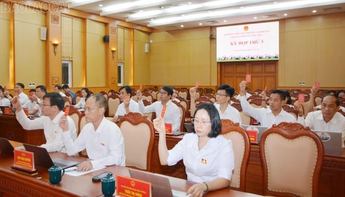 Đại biểu thông qua nghị quyết tại kỳ họp.