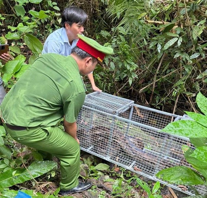 Công an xã Đức Linh phối hợp thả trăn về môi trường tự nhiên tại Khu bảo tồn thiên nhiên Núi Ông