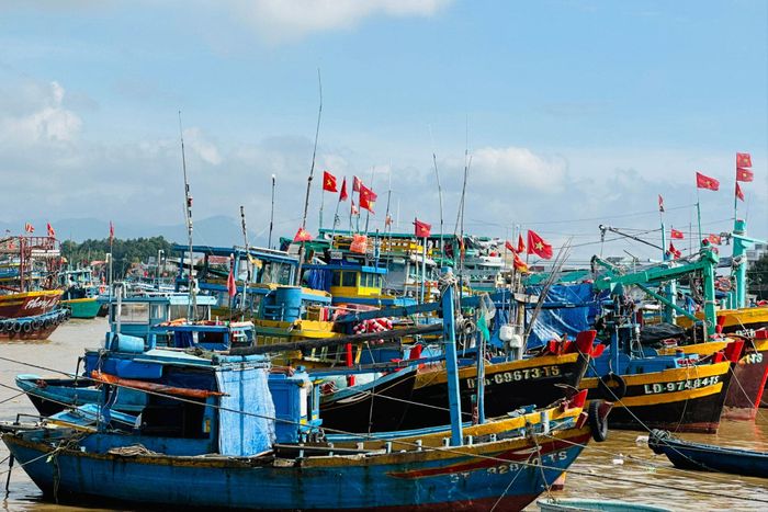 Tàu thuyền của ngư dân Lâm Đồng neo đậu tại Phan Thiết