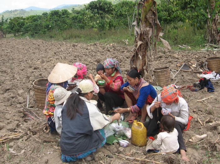 Bữa cơm trưa dọn trên lá chuối của 6 người phụ nữ trồng ngô và những đứa con (ảnh chụp từ 20 năm trước)