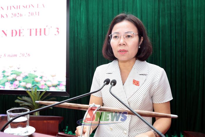 Đồng chí Giám đốc Sở Văn hóa, Thể thao và Du lịch tỉnh trình dự thảo nghị quyết.