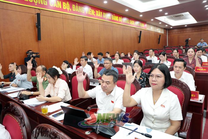 Các đại biểu biểu quyết thông qua các nghị quyết.