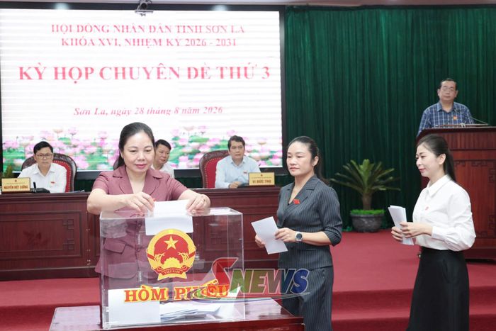 Các đại biểu bỏ phiếu bầu bổ sung Ủy viên UBND tỉnh.