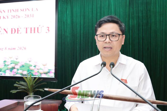 Đồng chí Nguyễn Việt Cường, Phó Chủ tịch HĐND tỉnh, phát biểu tại Kỳ họp.