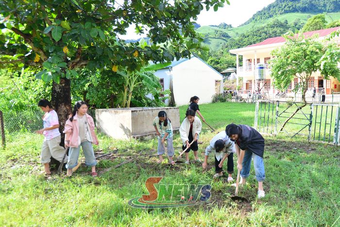 Học sinh Trường Tiểu học và THCS Phiêng Côn, xã Chiềng Sại lao động, chuẩn bị cho khai giảng năm học 2026-2027.