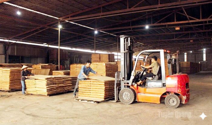 Xưởng chế biến gỗ thuộc Công ty Cổ phần xây dựng và Thương mại Thái Hoàng tại xã Vĩnh Tuy đem lại thu nhập ổn định cho nhiều lao động địa phương.