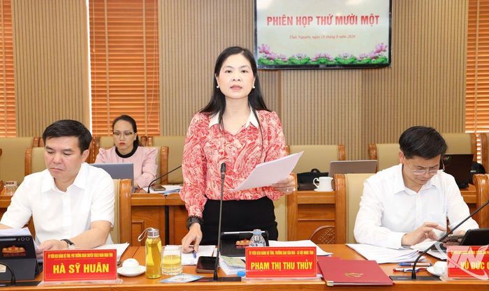 Các đại biểu phát biểu tại Phiên họp.
